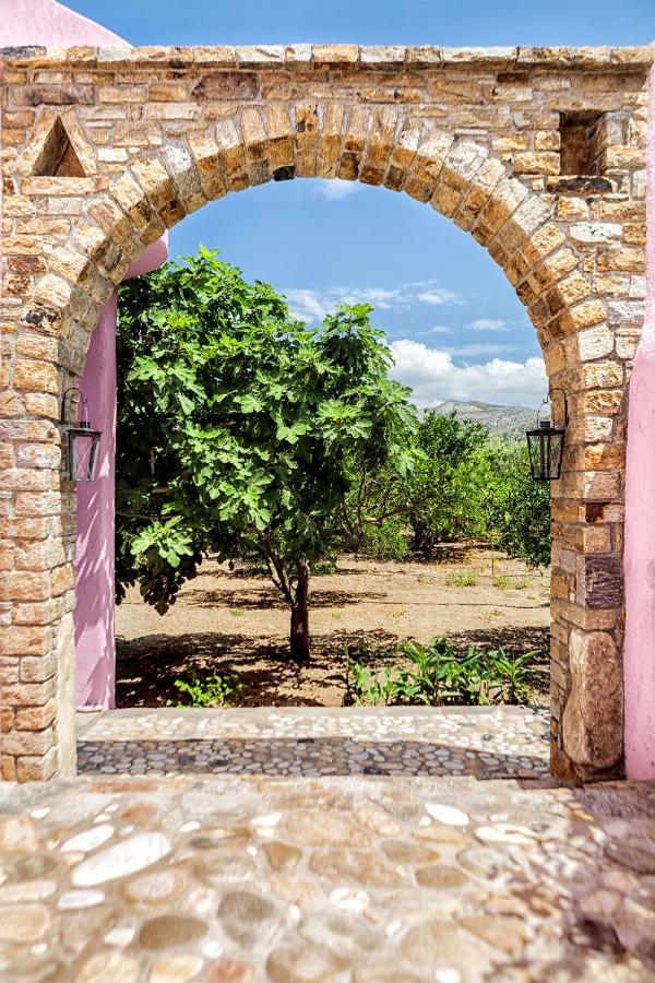 Villa Georgilas Cave House à Naxos City Extérieur photo